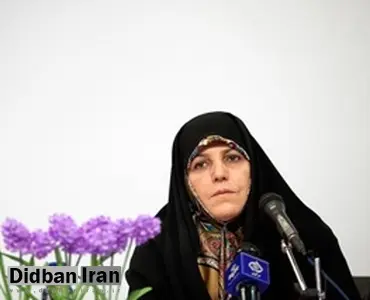 مولاوردی: برنامه‌ای برای عقیم‌سازی کارتن‌خواب‌‌ها نداریم
