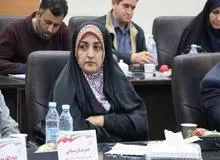 عضو شورای شهر کرمان: آمریکا و اسرائیل در آسمان کرمان گازهای سمی پخش کردند!