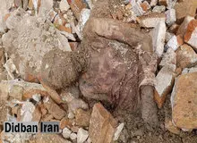 سرگشتگی عجیب یک مومیایی و تعلل های بیجا در تشخیص آن ...  