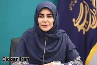 «نادره رضایی» معاون امور هنری وزارت فرهنگ و ارشاد اسلامی شد