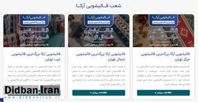 اولین قالیشویی آنلاین در تهران راه اندازی شد!