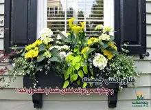 فلاورباکس چیست؟