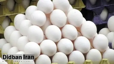 قیمت جدید تخم مرغ اعلام شد