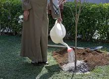 رهبر انقلاب اسلامی دو اصله نهال میوه غرس کردند
