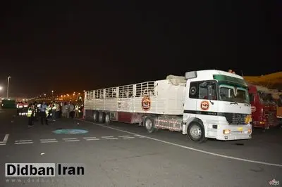 تصاویر : قطر برای مقابله با تحریمها گاو شیرده وارد کرد