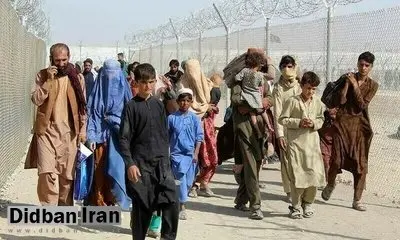 حضور ۴ میلیون اتباع غیرمجاز افغانستانی در کشور/ سکونت ۵۰ درصد اتباع در تهران/ ایران پناهنده جدید افغانستانی نمیپذیرد