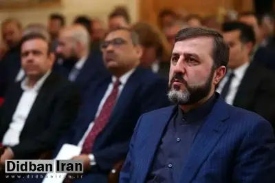 غریبآبادی: در دنیا معدود کشورهایی هستند که غنیسازی میکنند