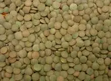 تاملی بر انتشار لیست واردکنندگان کالاها / سود سرشار عدس
