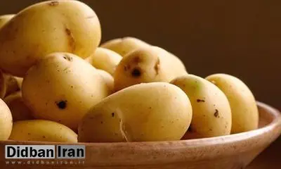 خواص شگفت‌انگیز آب سیب‌زمینی برای سلامتی/ از درمان میگرن تا درمان بیماری های کلیه 