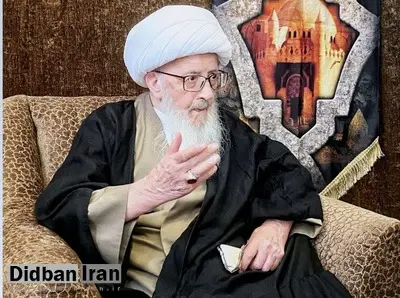 آیت الله وحید خراسانی: حجاج برای گرفتاری مردم زیاد دعا کنند