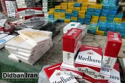 سیگار ارزان است؛ گرانش کنید تا همه نکشند/ قطعا همه مصرف کنندگان مواد مخدر اعتیاد را از سیگار شروع کردهاند