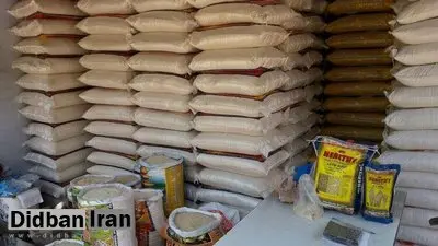 نوسان قیمت برنج متوقف شد