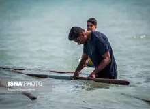 آیین سنتی «علم شویی» در بندرعباس+ تصاویر
