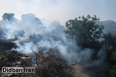 اعلام منشأ دود عظیم در شمال بزرگراه یادگار امام

