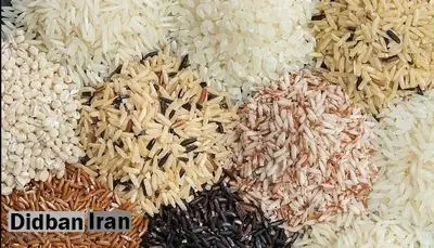 هشدار درباره برنجهای آلوده؛ رد پای فلزات سمی در همهی نمونههای بررسیشده