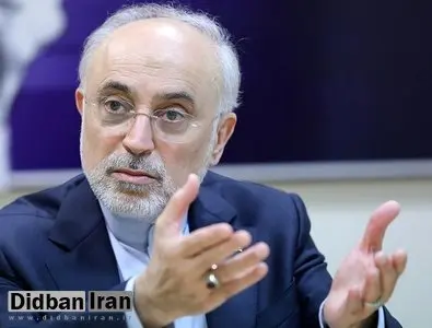 صالحی: «ایران» اکنون اولویتدارترین امر حکمرانی در جمهوری اسلامی است