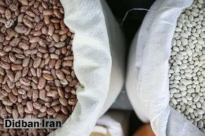 قیمت جدید لوبیاچیتی در بازار