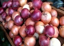 ارگان رسانه ای نزدیک سپاه خواستار رسیدگی به قیمت گران پیاز شد