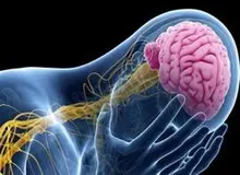 ۸ دلیل که ایرانی‌ها صرع می‌گیرند