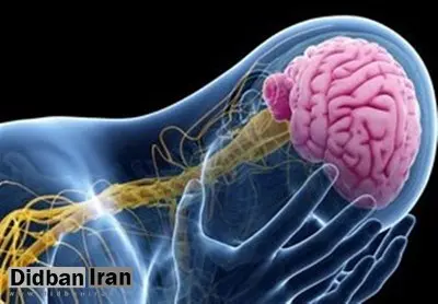 ۸ دلیل که ایرانی‌ها صرع می‌گیرند