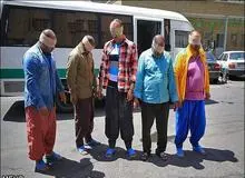 حکم اعدام سه قاچاقچی امروز اجرا شد