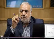 استاندار کرمانشاه: اطلاعی از پول‌های جمع‌آوری شده توسط "نیکی کریمی" نداریم/ علی دایی، نرگس کلباسی و صادق زیبا کلام انصافا پای کار هستند
