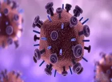 ویروس‌ها کلاهبرداری می‌کنند