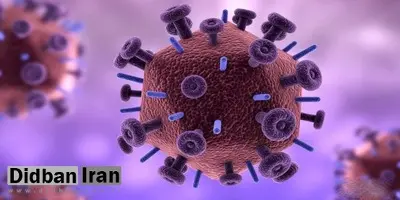 ویروسها کلاهبرداری میکنند