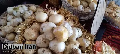 مصرف سیر خام ناشتا باعث لاغری نمی‌شود