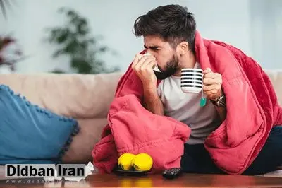 ۴ دم‌نوش فوق‌العاده برای رهایی از سرماخوردگی