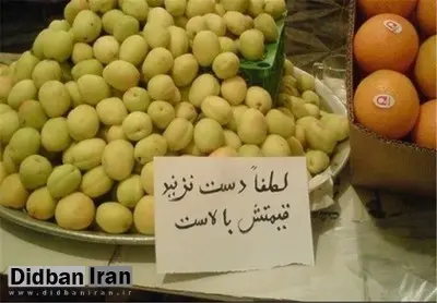 گرانی میوه منطقی نیست/ خردهفروشان سهم سود خود را رعایت نمیکنند