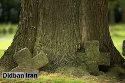 آثار به جا مانده از جنگجهانی اول بعد از یک قرن