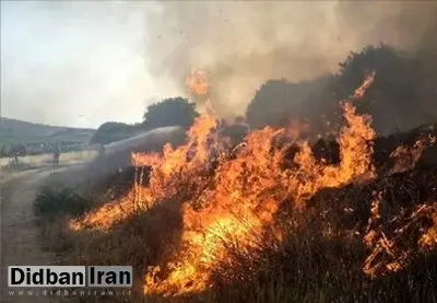 هورالعظیم در آتش بیآبی؛ خشکیدگی ۹۹ درصدی بخش عراقی این تالاب