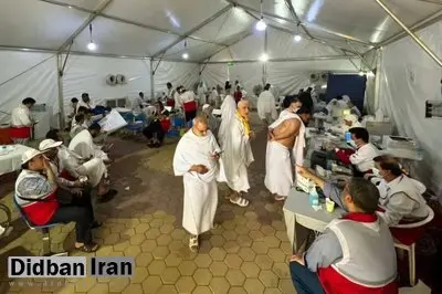 شایعه شیوع ویروس مرس در میان حجاج حقیقت دارد؟