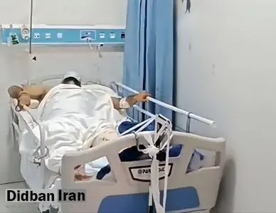 پلیس: شرور سابقهداری که به قصد گروگانگیری وارد تهران شده بود، با شلیک ۱۳ گلوله پلیس زمینگیر و دستگیر شد+فیلم