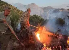 پارک ملی تندوره خراسان رضوی دچار آتش‌سوزی گسترده شد