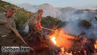 پارک ملی تندوره خراسان رضوی دچار آتش‌سوزی گسترده شد