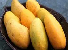 خواص بی نظیر مصرف انبه برای کاهش وزن 