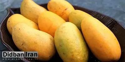 خواص بی نظیر مصرف انبه برای کاهش وزن