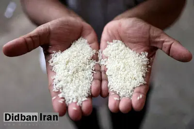 آخرین قیمت برنج ایرانی و پاکستانی در بازار
