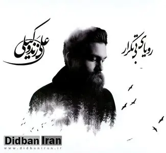 درخواست علی زندوکیلی از مردم برای قضاوت آلبوم«رویای بی تکرار»