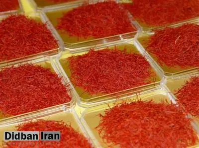 بیشتر زعفران ایران با برند سایر کشورها عرضه می شود