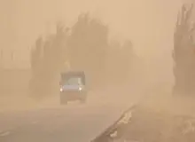 غلظت ذرات معلق در هوای سیستان به 10 برابر حدمجاز رسید/ طوفان درختان را از ریشه درآورد
