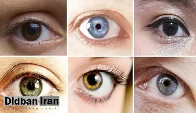 کمیاب ترین رنگ چشم در جهان چیست؟