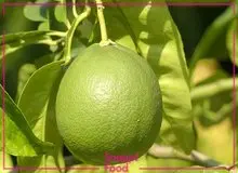 چه نوع میوه های به سلامتی و تناسب اندام کمک می کنند؟