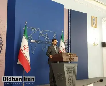 سخنگوی وزارت خارجه به اعتصاب غذای «بری روزن» در وین واکنش نشان داد/ خطیب زاده: در اروپا که بودم در چنین نمایش هایی لوبیاپلو می خوردند