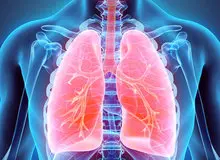 چند توصیه برای مراقبت از ریه ها / خوردنی های مفید و مضر برای ریه‌ کدامند؟