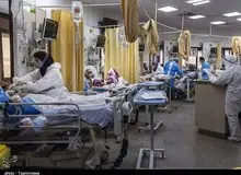 ۲۲۳ فوتی جدید کرونا در کشور/ بیش از ۲۲ میلیون نفر تاکنون دو دز واکسن کرونا دریافت کرده اند