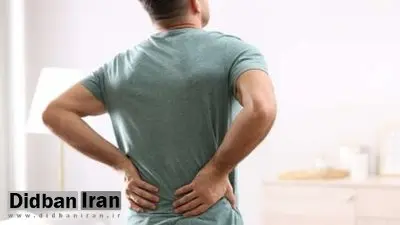 ۴ خوراکی که سنگ کلیه را در چشم بر هم زدنی نابود می‌کند+اسامی