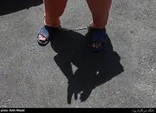 دستگیری سارق حرفه ای در تهران/ سرقت ۱۰۰ میلیاردی از یک خانه!